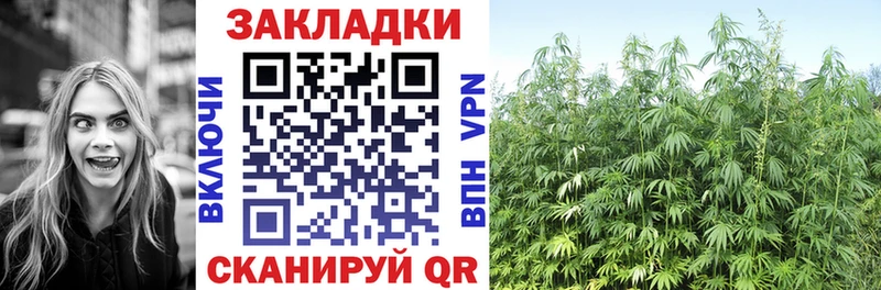 Купить закладку ГАШИШ Бошки Шишки A PVP Мефедрон Мытищи