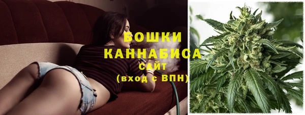 стаф Медвежьегорск