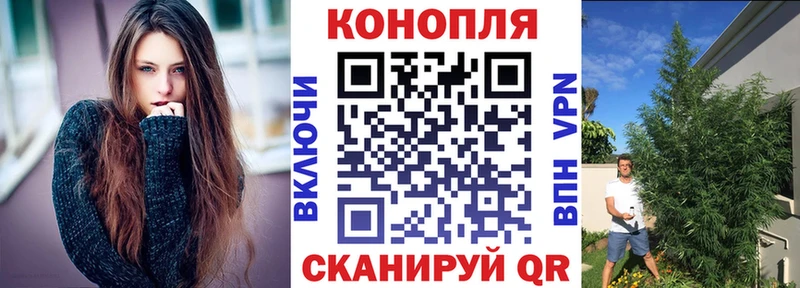 Купить закладки  Мытищи  Шишки марихуана THC 21% 